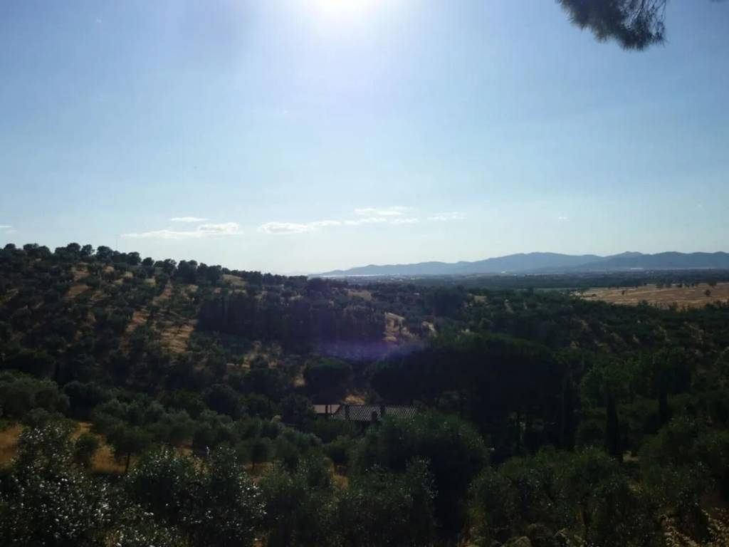 Rustico / casale a Grosseto in Strada Provinciale Poggio Alla Mozza - Foto 5