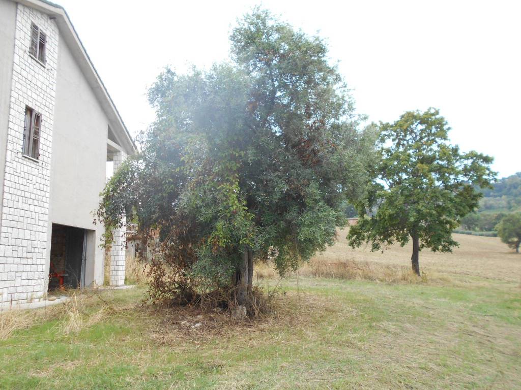 Rustico / casale a San paolo di jesi in Via Valle delle Lame, 2 - Foto 5