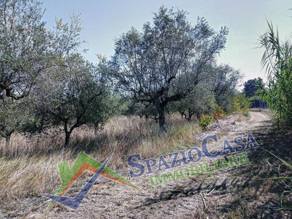 Terreno a Giulianova in Contrada Case di Trento - Foto 2