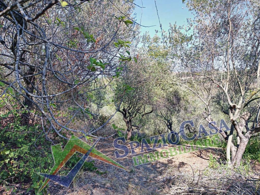 Terreno a Giulianova in Contrada Case di Trento - Foto 3