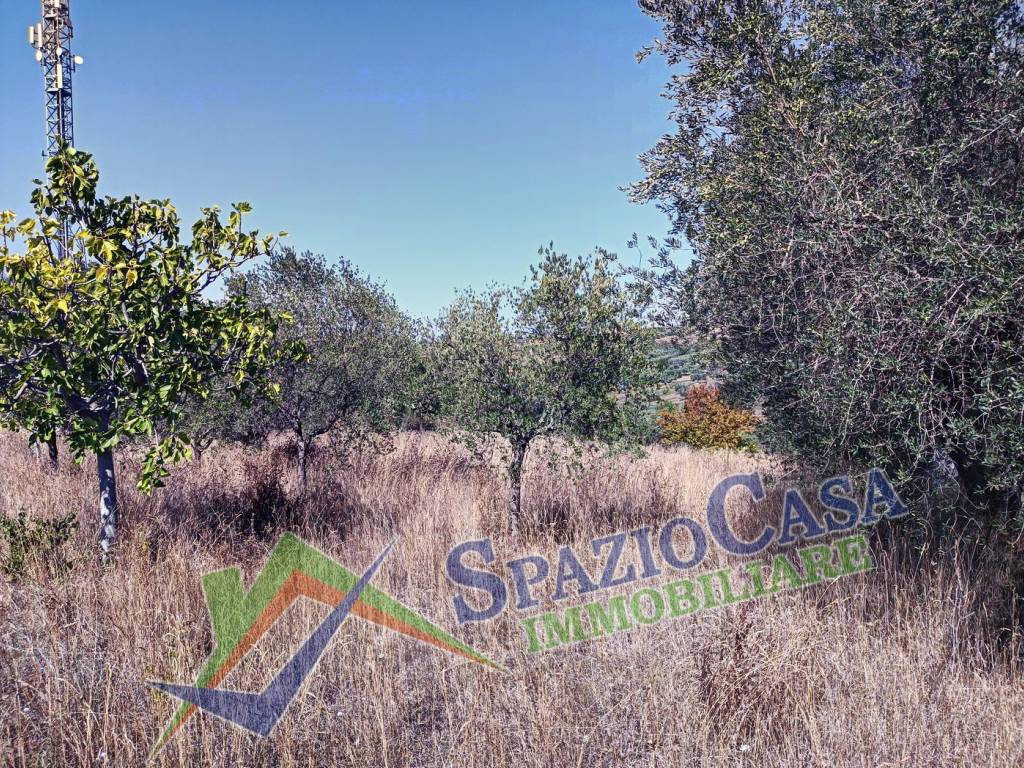 Terreno a Giulianova in Contrada Case di Trento - Foto 4