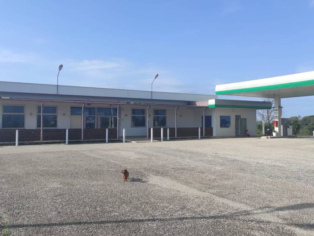 Immobile a Aprilia in Via Fossignano - Foto 5