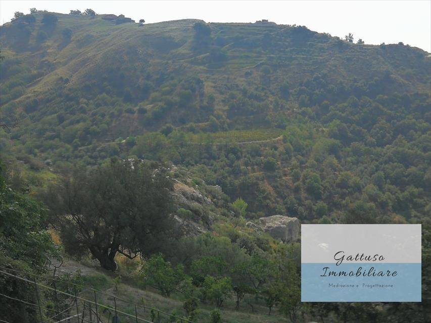 Terreno a Palizzi in palizzi superiore - Foto 3