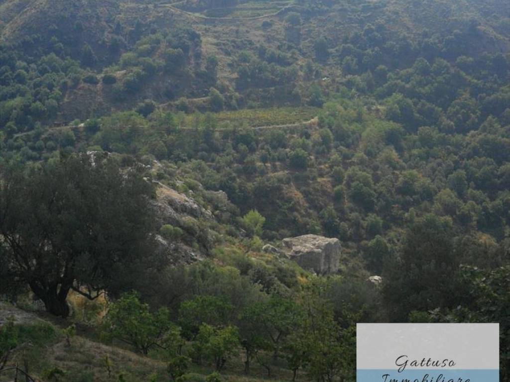 Terreno a Palizzi in palizzi superiore - Foto 4