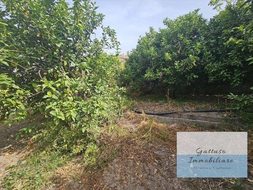 Terreno a Reggio calabria in oliveto - Foto 2