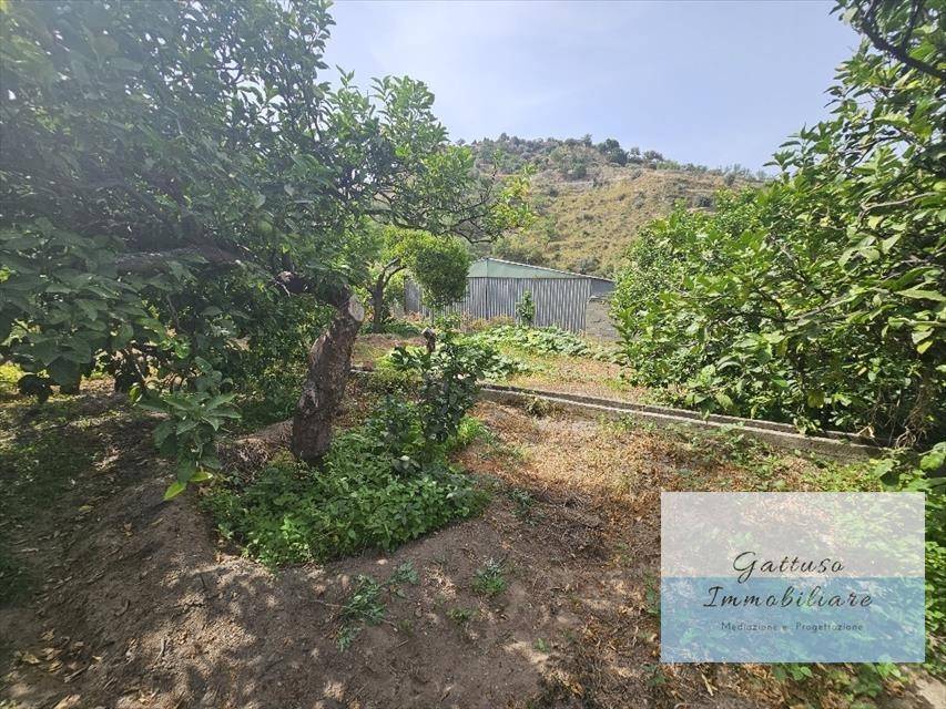 Terreno a Reggio calabria in oliveto - Foto 3