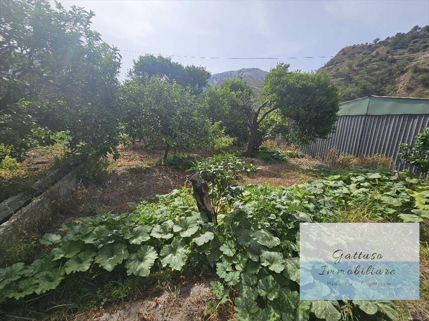 Terreno a Reggio calabria in oliveto - Foto 4