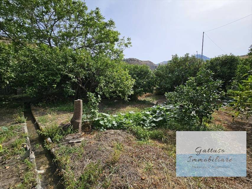 Terreno a Reggio calabria in oliveto - Foto 5