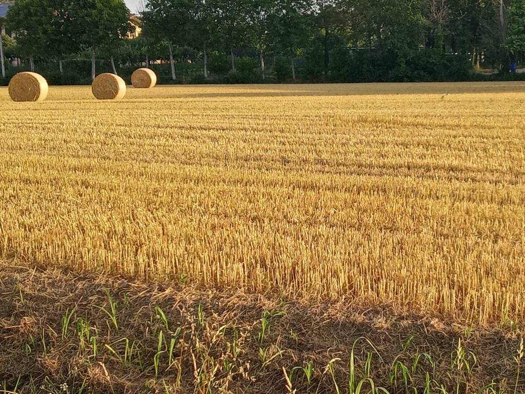 Villa a Vicenza in Strada di Bertesina, 319 - Foto 5