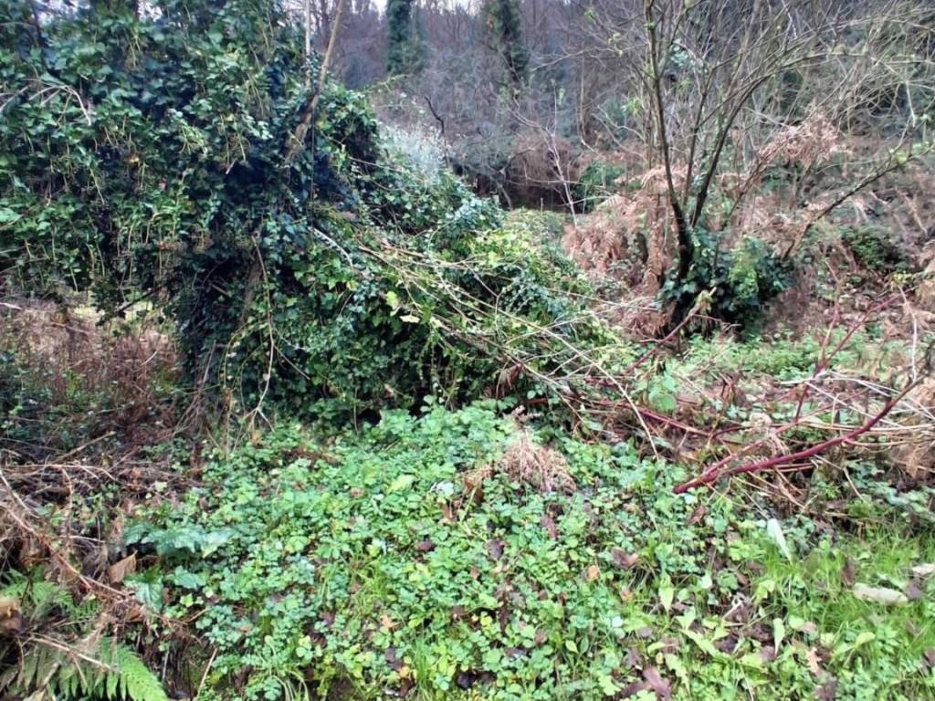 Rustico / casale a Capannori in Via Sottomonte, - Foto 2
