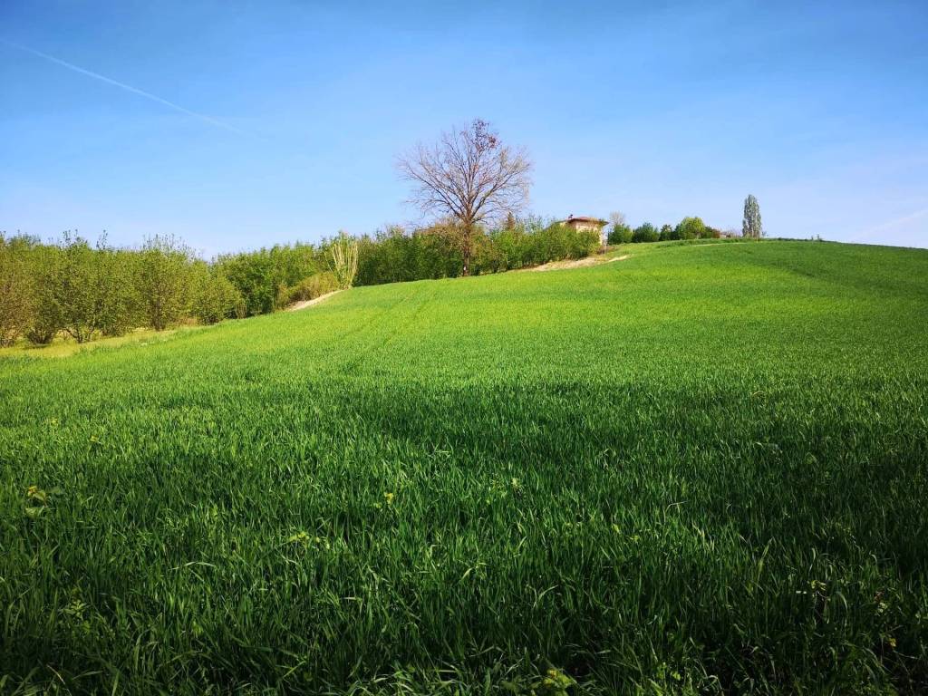 Terreno a Govone in SP49 - Foto 5