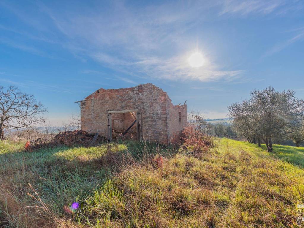 Rustico / casale a Torrita di siena in Via Danilo Pieroni - Foto 5