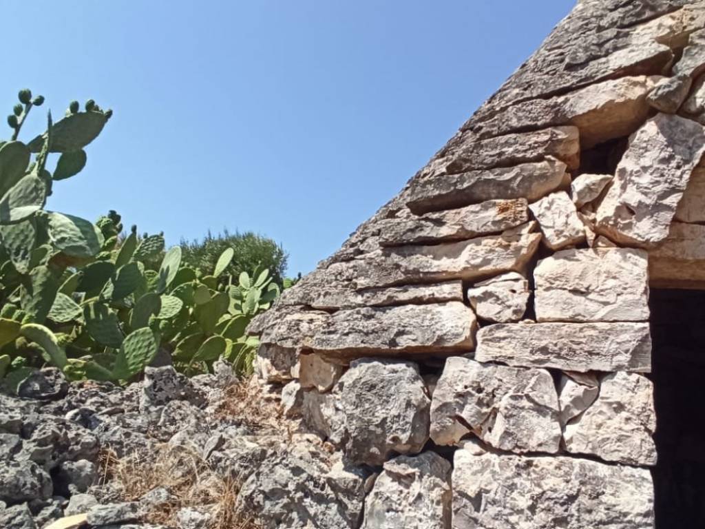 Rustico / casale a Ceglie messapica in Strada Provinciale Ceglie-Francavilla Fontana - Foto 4
