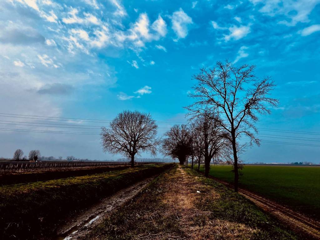 Terreno a Massa lombarda - Foto 2