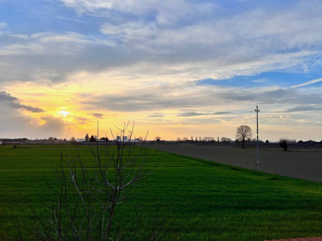 Terreno a Massa lombarda - Foto 3