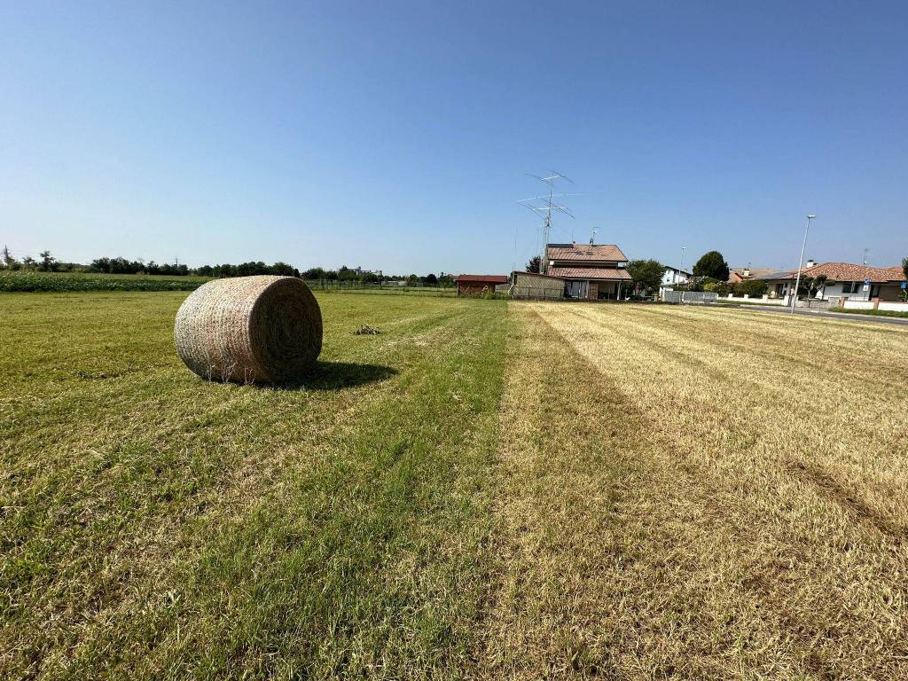 Terreno a Pavia di udine in Via Giovanni da Udine, 1 - Foto 1
