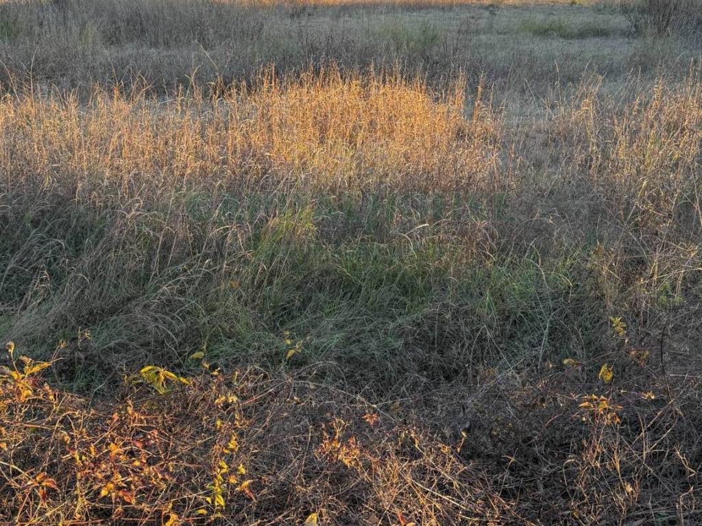 Terreno a Marigliano in via Vecchia del Bosco - Foto 3