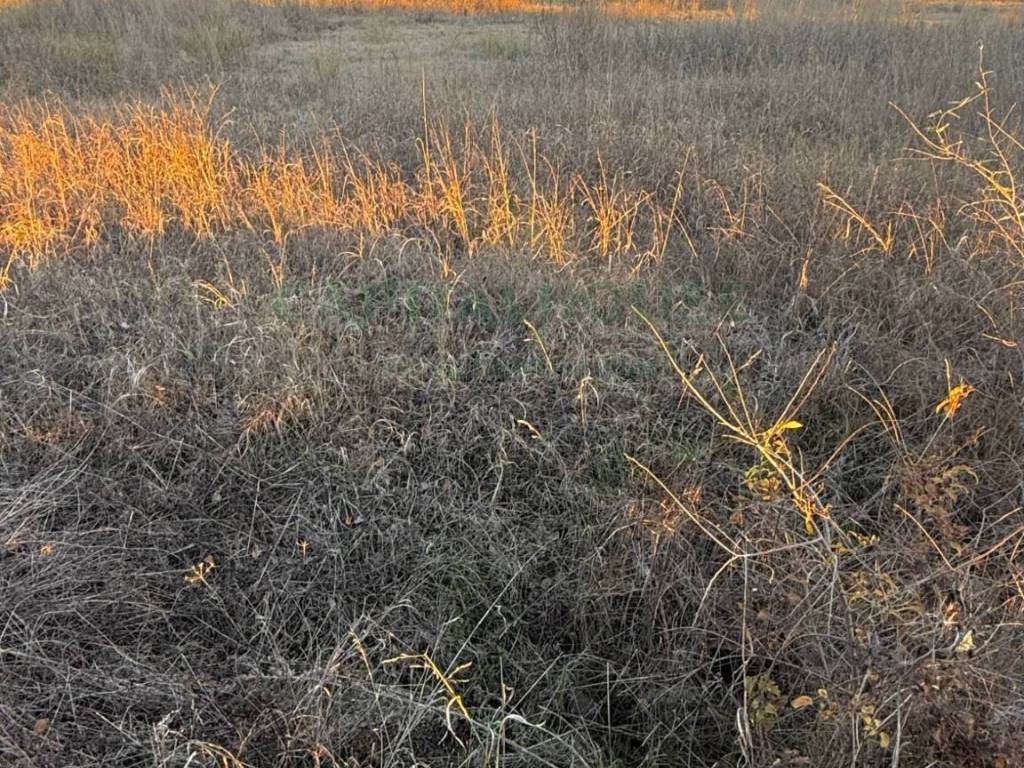 Terreno a Marigliano in via Vecchia del Bosco - Foto 4