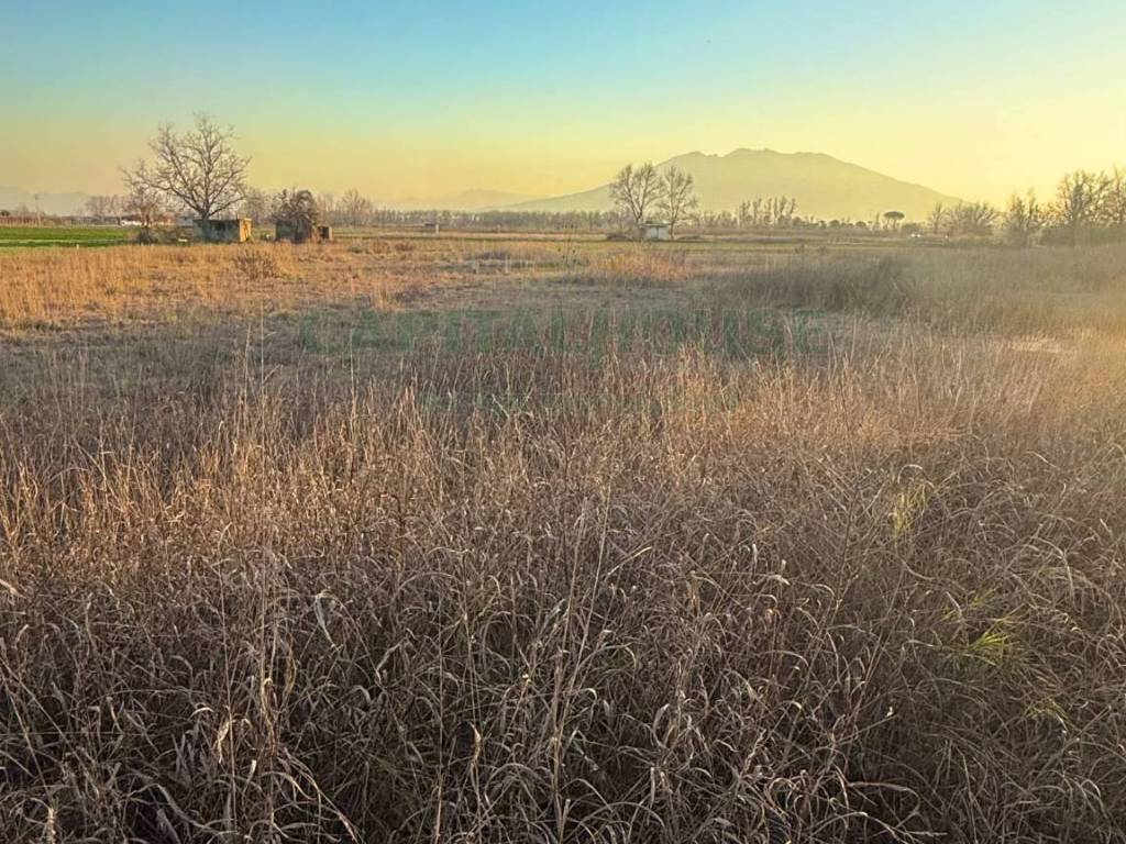 Terreno a Marigliano in via Vecchia del Bosco - Foto 5