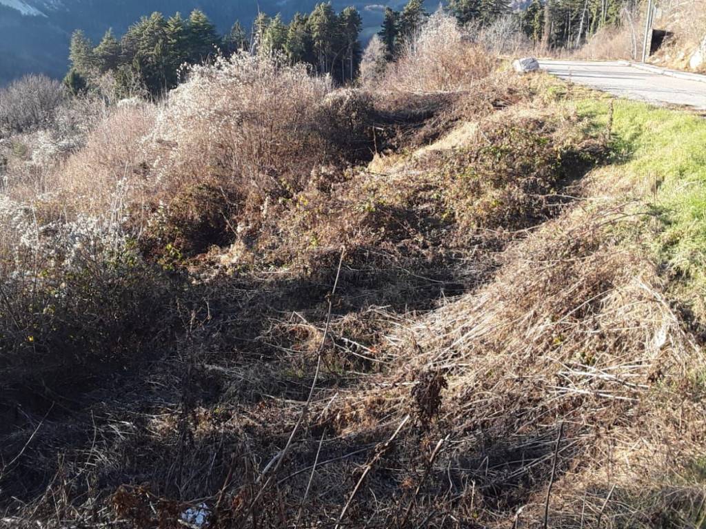 Terreno a Ferrara di monte baldo in Strada Provinciale Monte Baldo - Foto 2