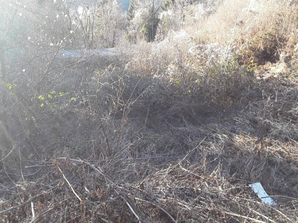 Terreno a Ferrara di monte baldo in Strada Provinciale Monte Baldo - Foto 3