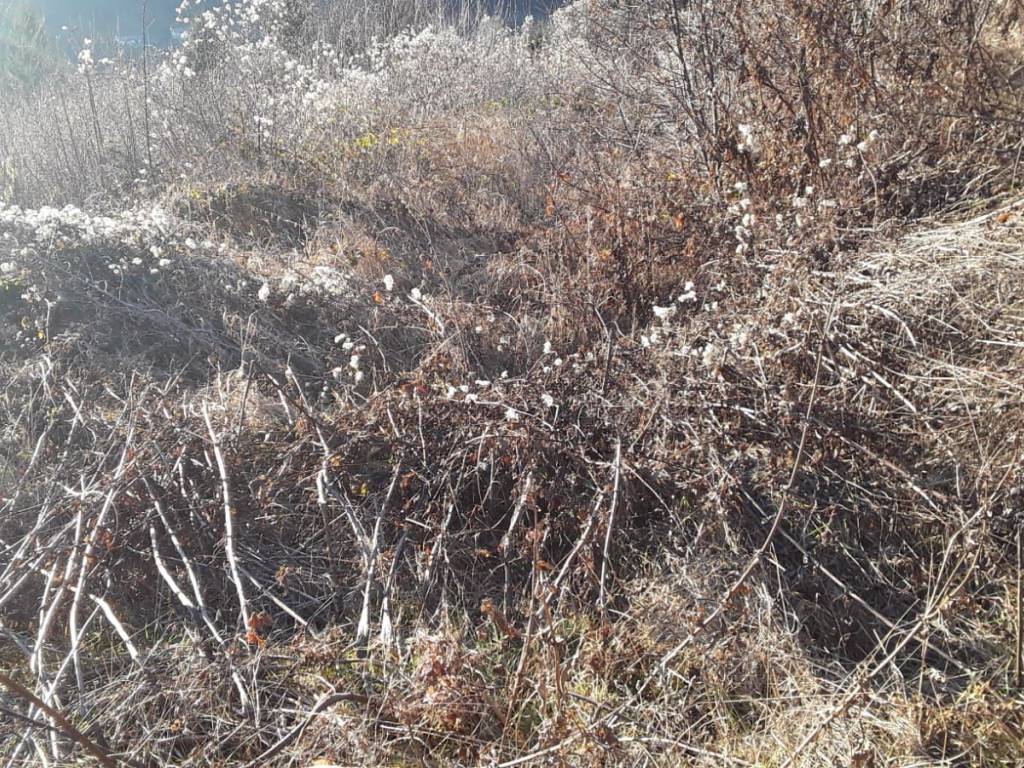 Terreno a Ferrara di monte baldo in Strada Provinciale Monte Baldo - Foto 5