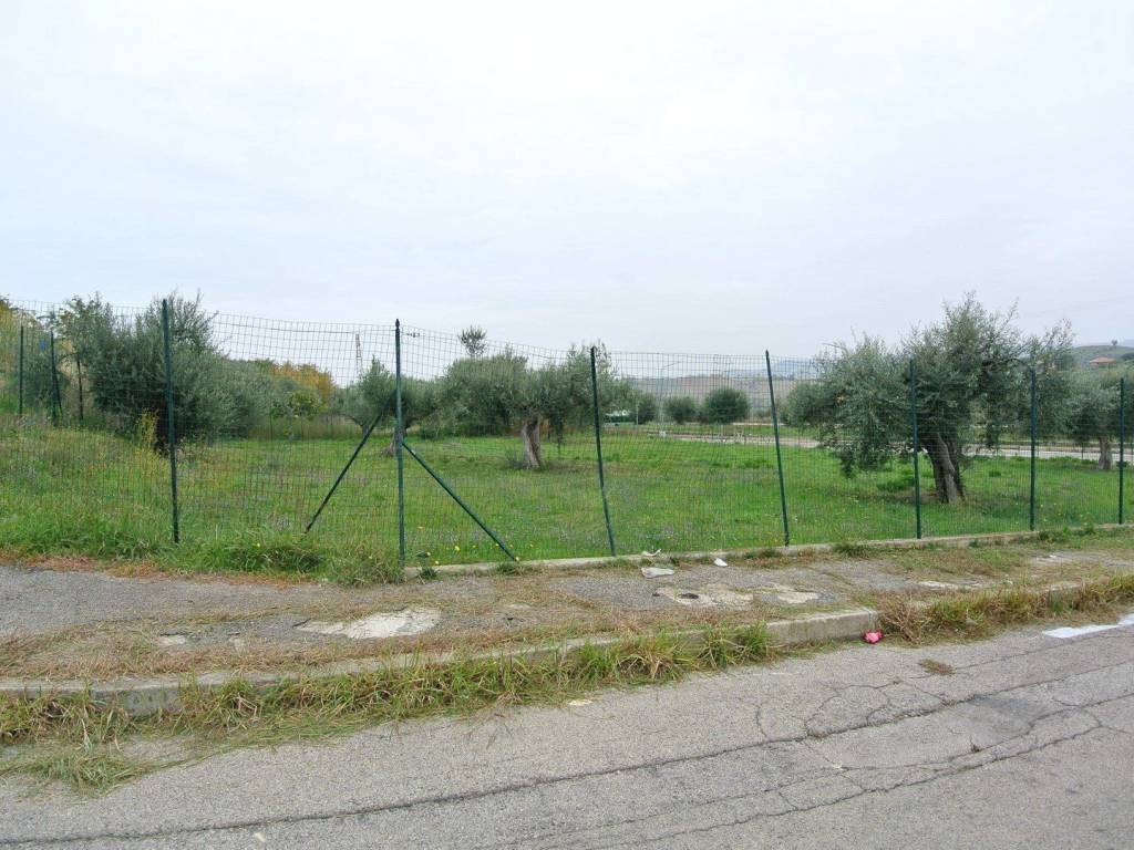 Terreno a Città sant'angelo in contrada Alzano - Foto 5