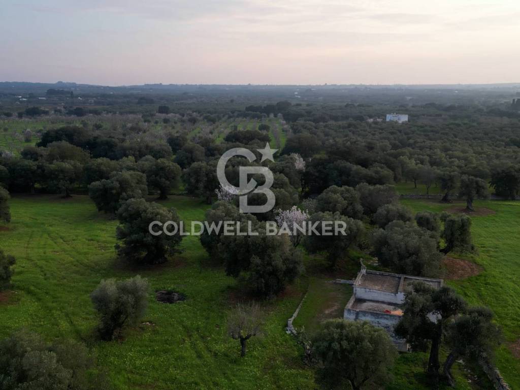 Terreno a Ostuni in Contrada Boezio - Calcagni - Foto 4