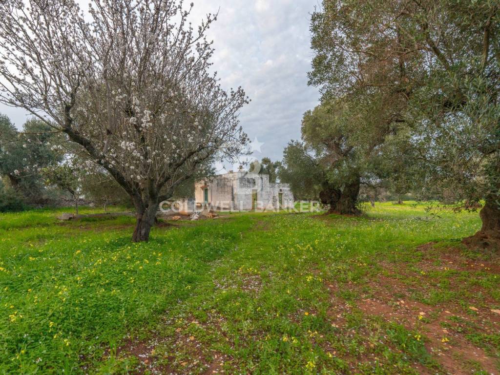 Rustico / casale a Ostuni in Contrada Boezio - Calcagni - Foto 4