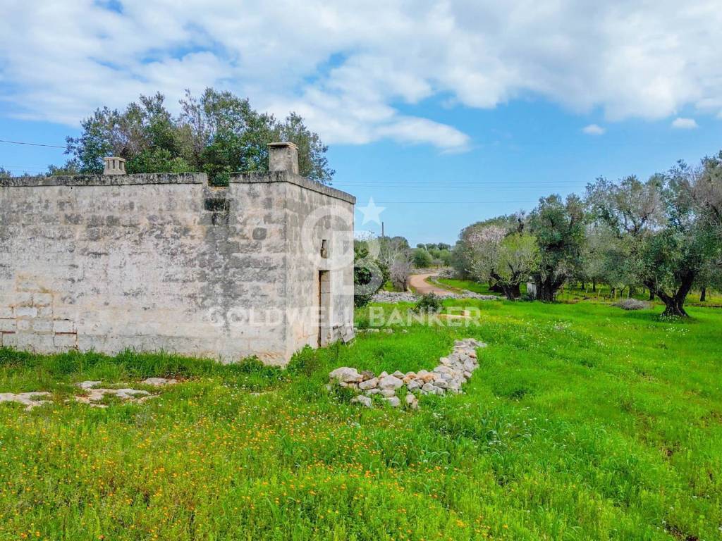Rustico / casale a Carovigno in Contrada Arrighi - Foto 5