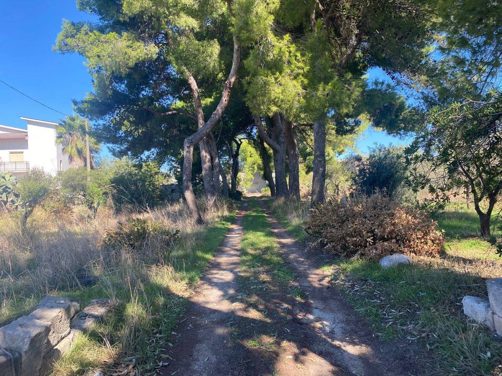 Rustico / casale a Manduria in Via per Lecce - Foto 2