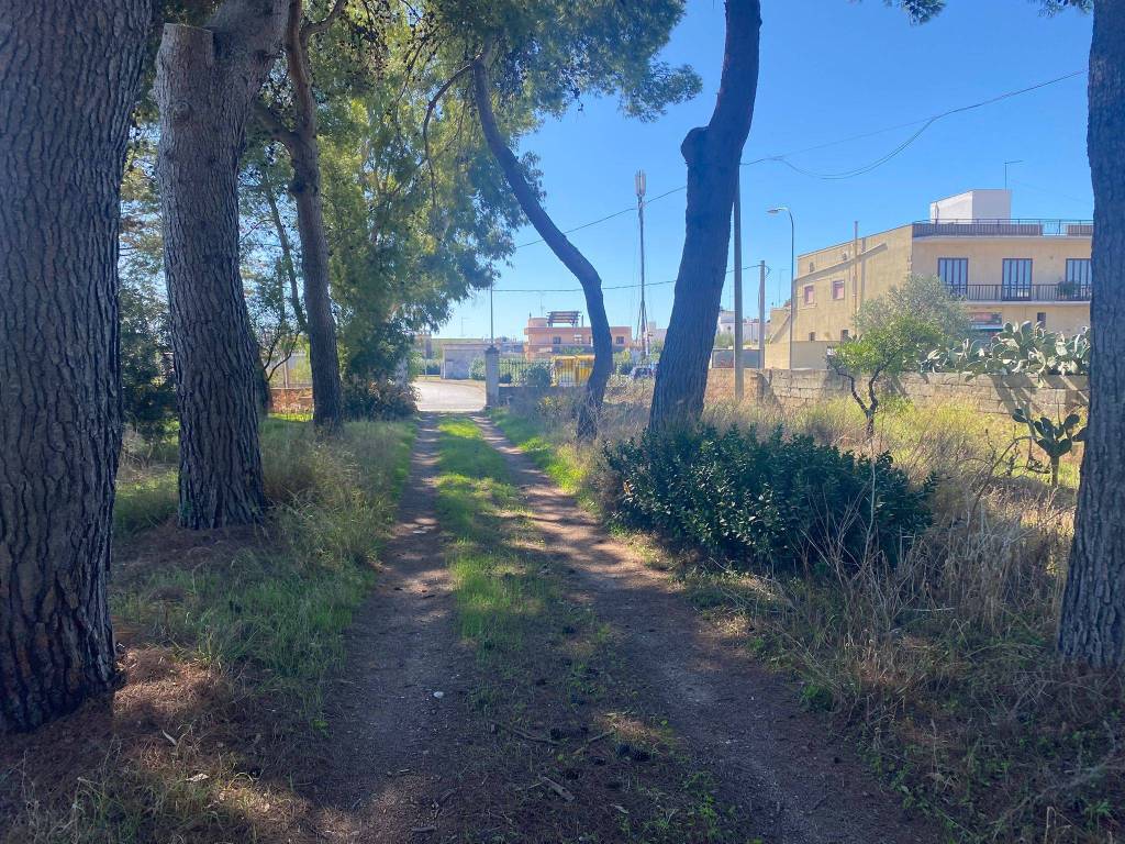 Rustico / casale a Manduria in Via per Lecce - Foto 3