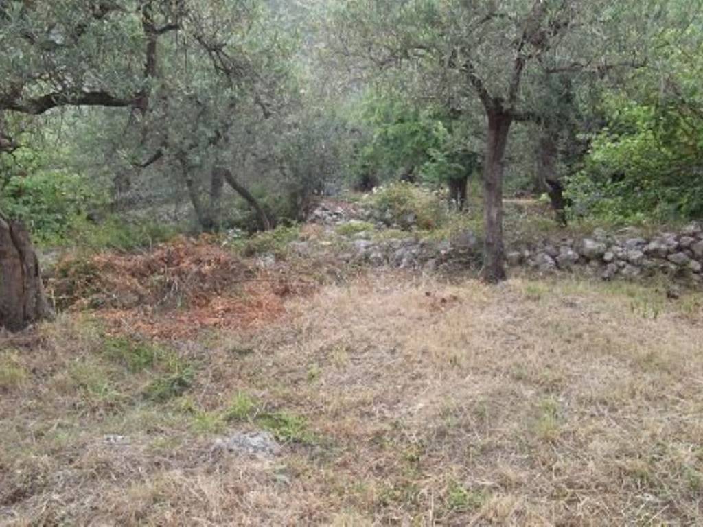 Rustico / casale a Formia in Via santa maria la noce s.n.c - Foto 5