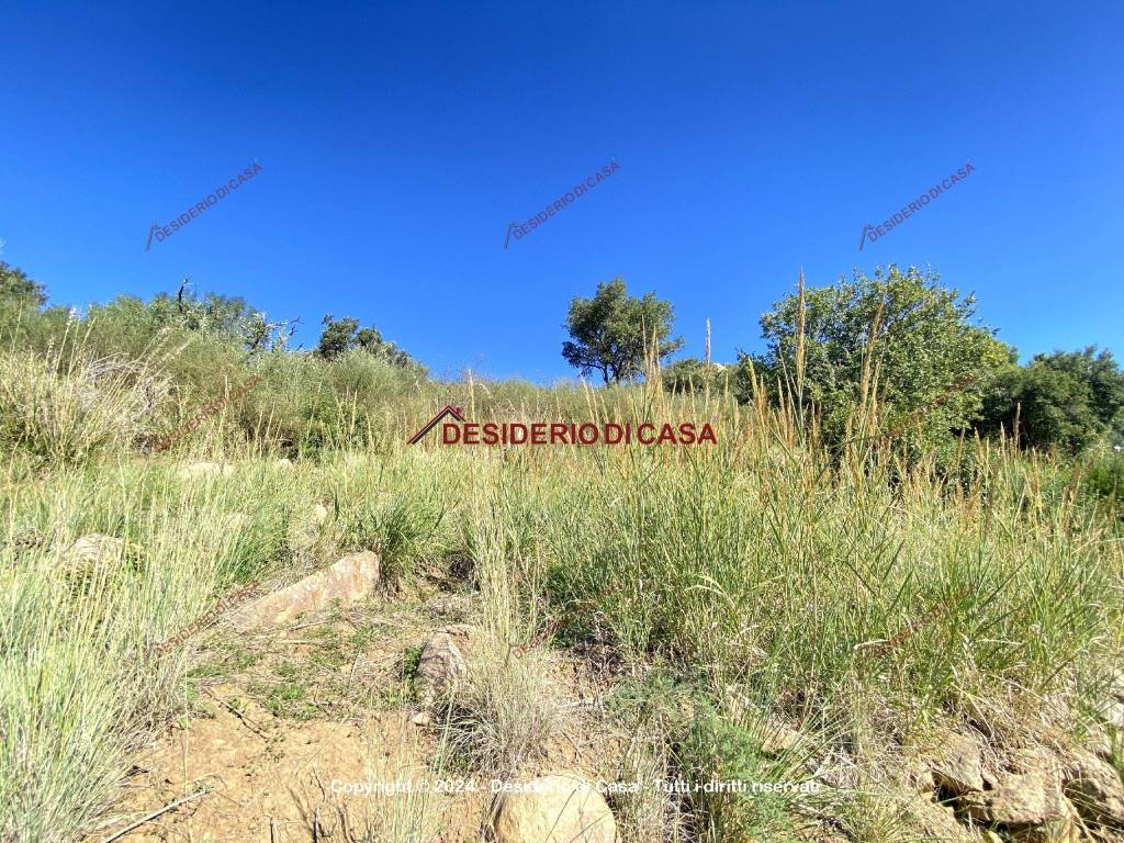 Terreno a Cefalù in Strada Provinciale Cefalù-Campella - Foto 2