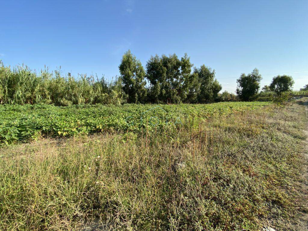 Terreno a Mondragone in Via Sancello - Foto 2