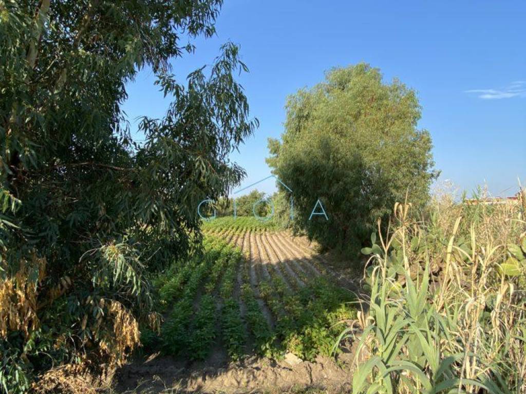 Terreno a Mondragone in Via Sancello - Foto 3