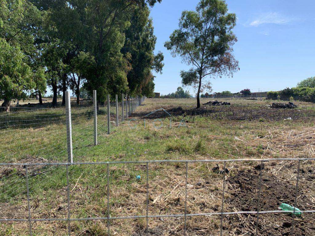 Terreno a Mondragone - Foto 4
