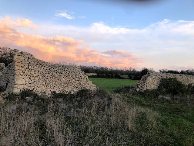 Terreno a Tricase in Strada Comunale Montesano Tutino - Foto 3