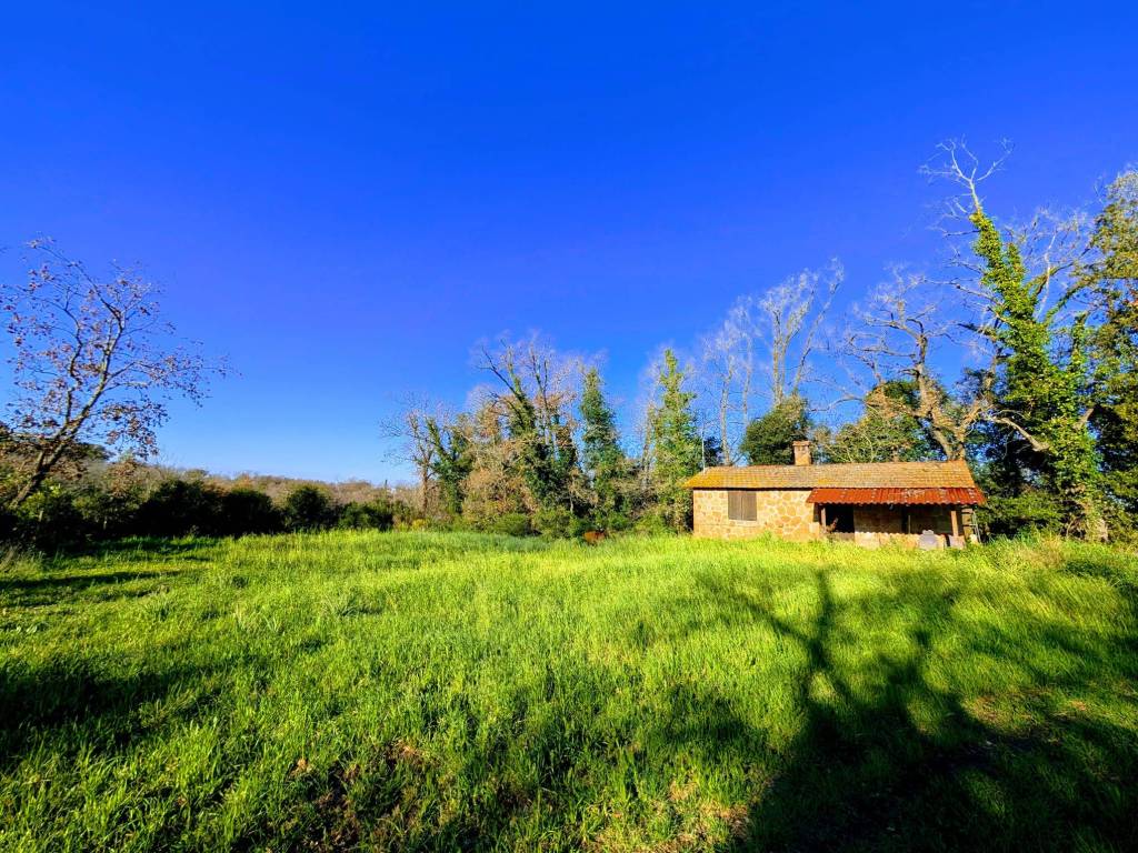 Terreno a Fiumicino in Via Attilio Barriera - Foto 3