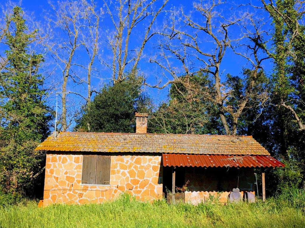 Terreno a Fiumicino in Via Attilio Barriera - Foto 5