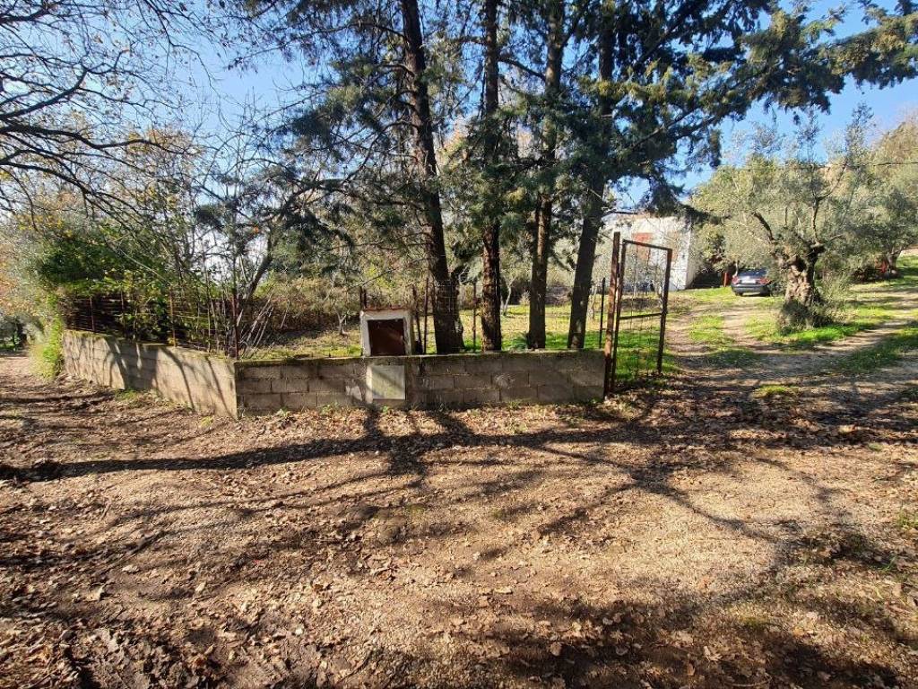 Rustico / casale a Pastorano - Foto 2