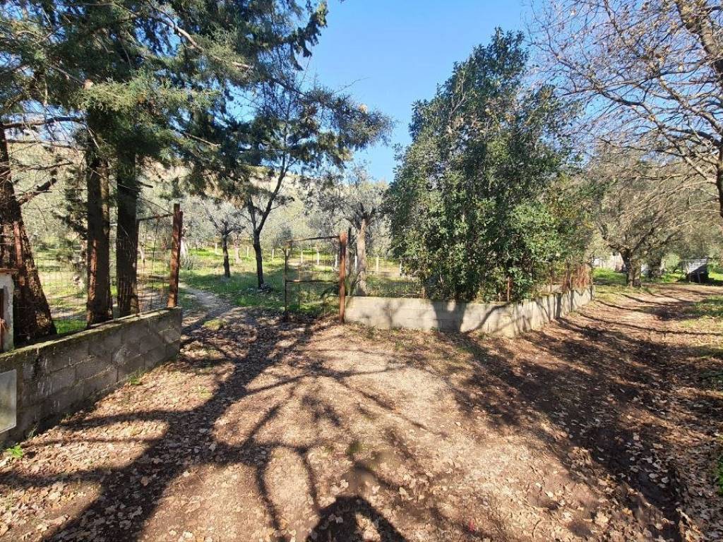 Rustico / casale a Pastorano - Foto 3