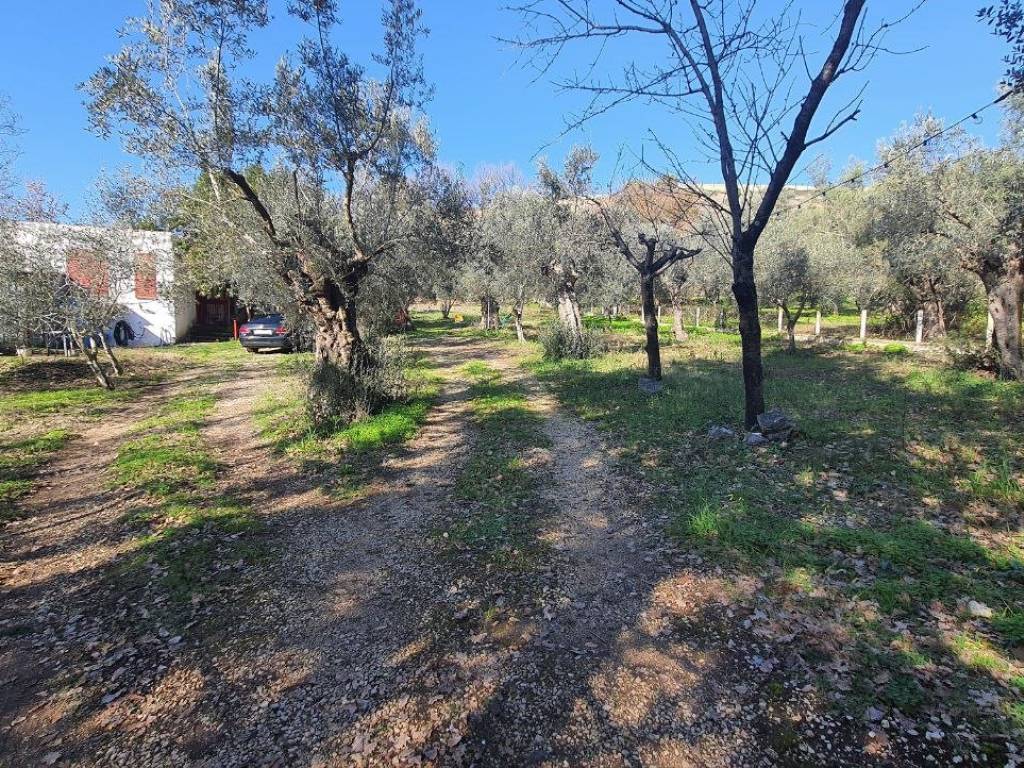 Rustico / casale a Pastorano - Foto 4