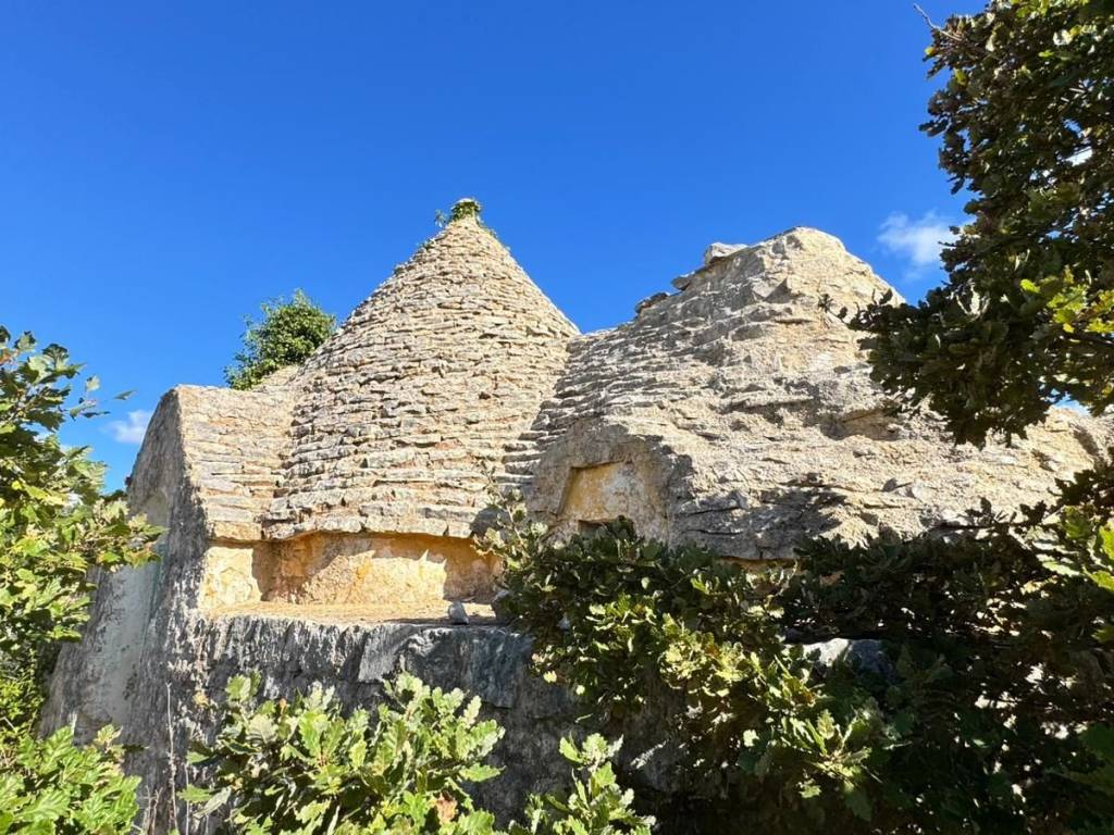 Rustico / casale a Polignano a mare - Foto 3