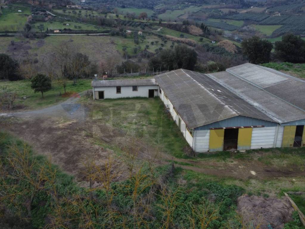 Terreno a Celleno in Strada Valle - Foto 3