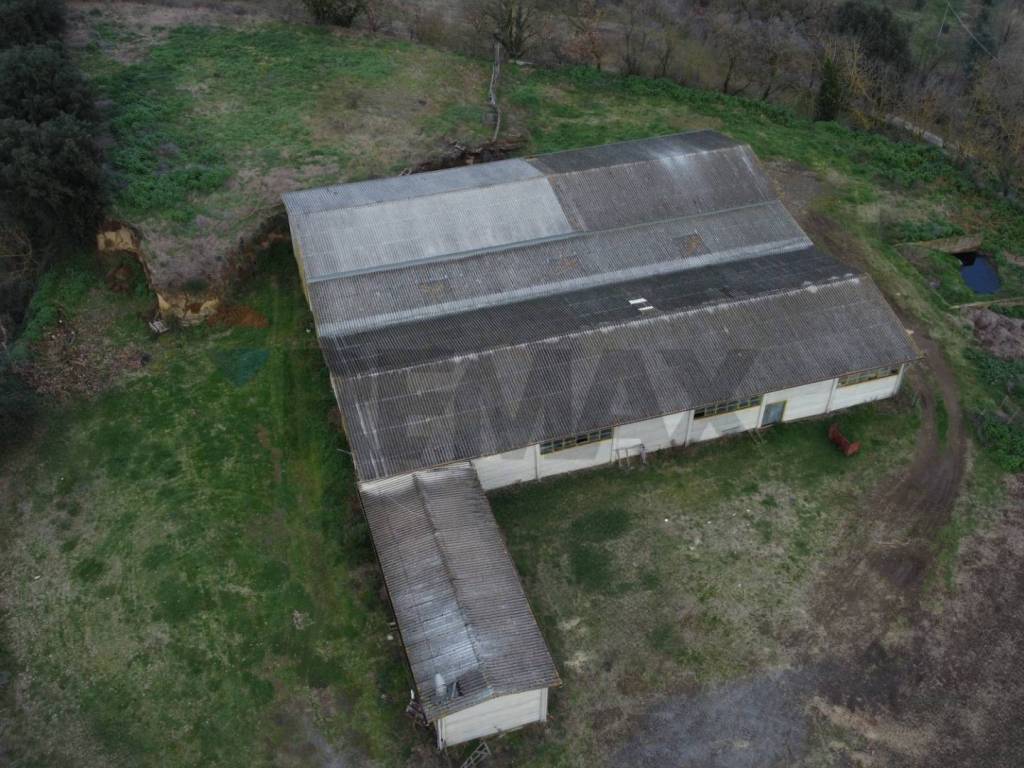 Terreno a Celleno in Strada Valle - Foto 4