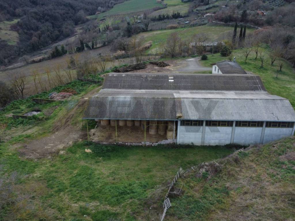 Terreno a Celleno in Strada Valle - Foto 5