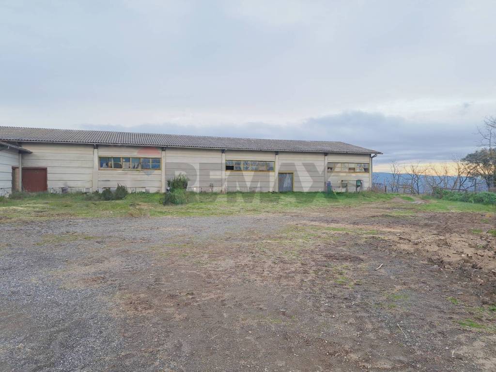 Immobile a Celleno in Strada Valle - Foto 3