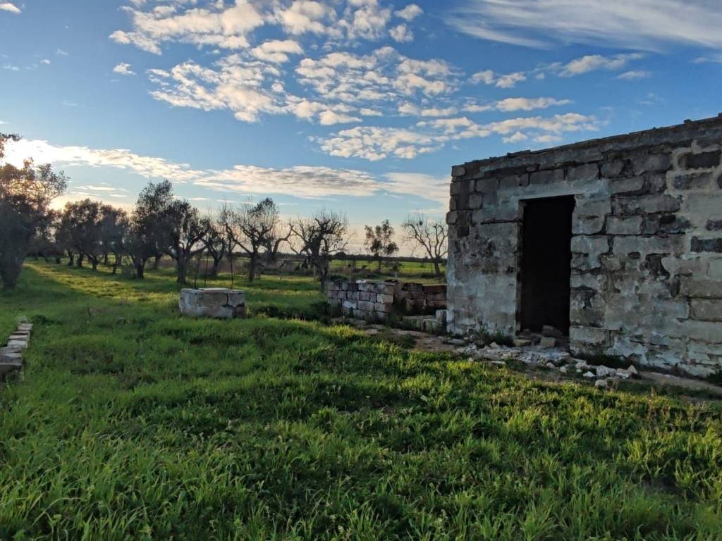 Rustico / casale a Cutrofiano in contrada piscopio - Foto 3