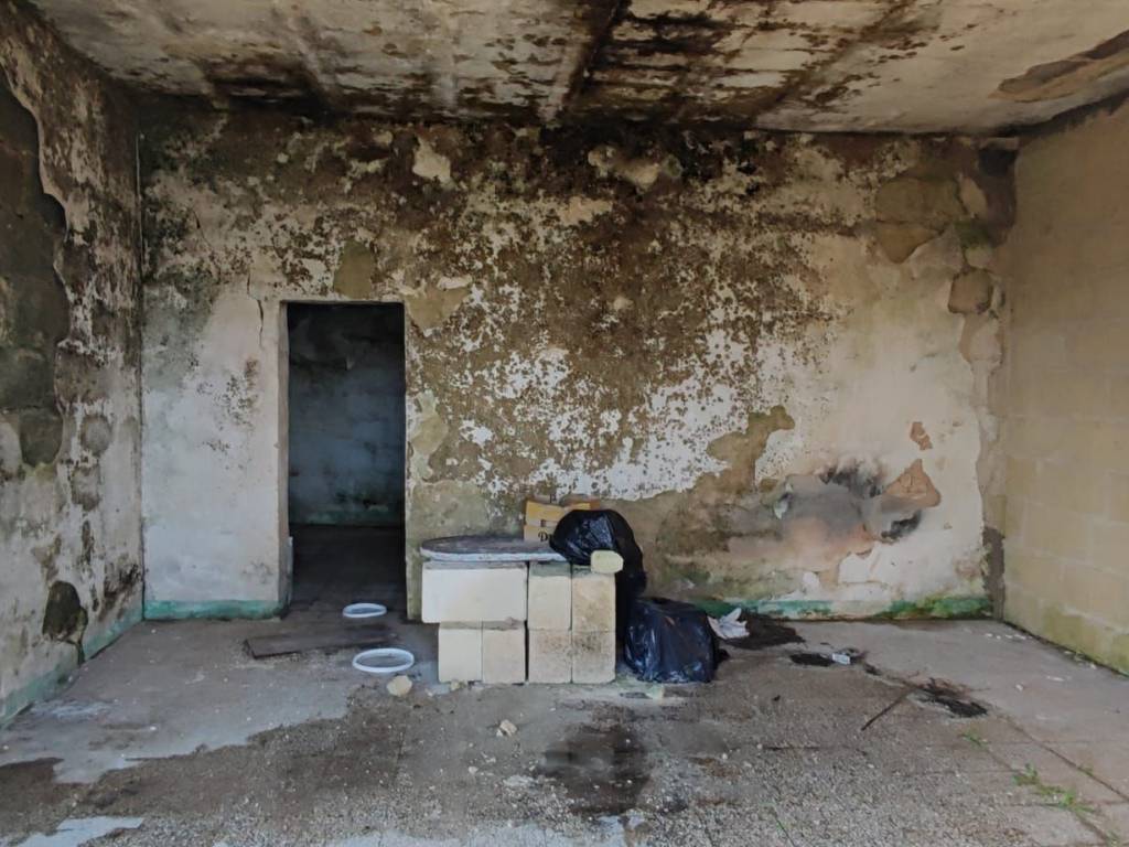 Rustico / casale a Cutrofiano in contrada piscopio - Foto 5